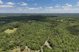 1366 Cummings Rd, Ridge Spring, SC 29129 - Photo 65