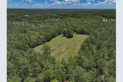 1366 Cummings Road, Ridge Spring, SC 29129 - Photo 69