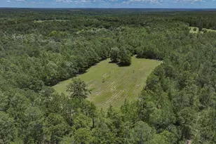 1366 Cummings Rd, Ridge Spring, SC 29129 - Photo 69