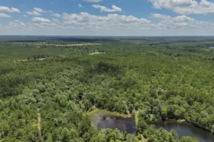 1366 Cummings Rd, Ridge Spring, SC 29129 - Photo 65