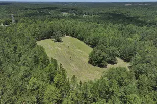 1366 Cummings Rd, Ridge Spring, SC 29129 - Photo 67