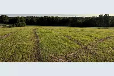 Lot 16 Reeves Street, Aiken, SC 29805 - Photo 19