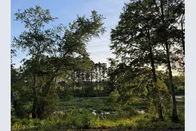 Lot 16 Reeves Street, Aiken, SC 29805 - Photo 17
