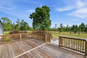 685 Centerwood Rd, Williston, SC 29853 - Photo 39