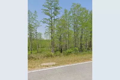 11430 Main Highway, Olar, SC 29843 - Photo 1