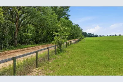 00 Bodie Road, Wagener, SC 29164 - Photo 5