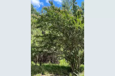 00 Graham Rd, Saluda, SC 29138 - Photo 1
