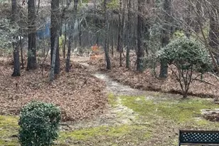 125 Golden Pond Ct, Aiken, SC 29803 - Photo 25