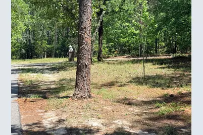 612 Edisto Lake Road, Wagener, SC 29164 - Photo 39