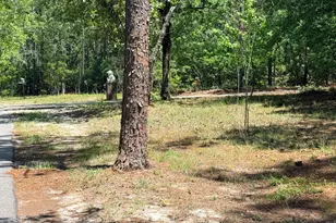 612 Edisto Lake Rd, Wagener, SC 29164 - Photo 39