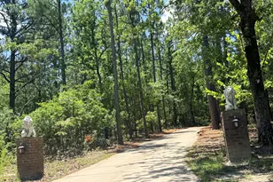 612 Edisto Lake Rd, Wagener, SC 29164 - Photo 3