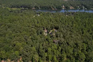 612 Edisto Lake Rd, Wagener, SC 29164 - Photo 51