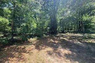 612 Edisto Lake Rd, Wagener, SC 29164 - Photo 39