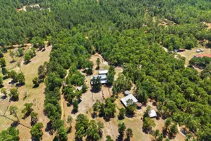 149 Pearl Bonnett Rd, Windsor, SC 29856 - Photo 49