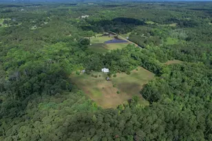1611 Dixired Rd, Batesburg-Leesville, SC 29070 - Photo 61