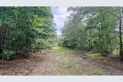 00 Goldenrod Drive, Barnwell, SC 29812 - Photo 11
