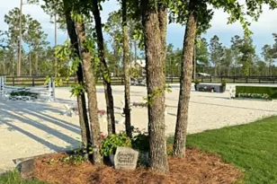 8285 Covert Dr, Aiken, SC 29803 - Photo 79