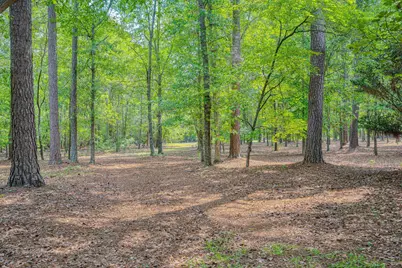 149 Gadwall Lane, Aiken, SC 29803 - Photo 51