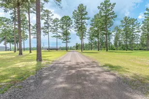 2650 Moore Rd, Barnwell, SC 29812 - Photo 75