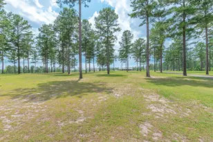 2650 Moore Rd, Barnwell, SC 29812 - Photo 73