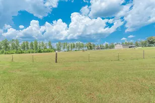 2650 Moore Rd, Barnwell, SC 29812 - Photo 69
