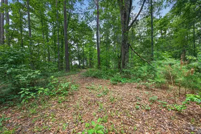 441 Stratford Lane, Barnwell, SC 29812 - Photo 43