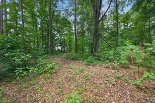 441 Stratford Ln, Barnwell, SC 29812 - Photo 43