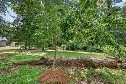 441 Stratford Lane, Barnwell, SC 29812 - Photo 41