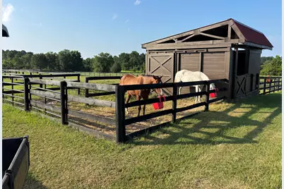 929 Airport Road, Johnston, SC 29832 - Photo 9