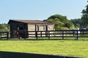 929 Airport Rd, Johnston, SC 29832 - Photo 13