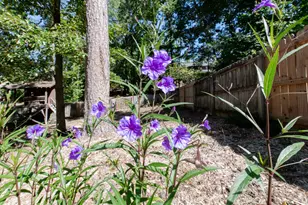 779 Sweet Bay Ct, Evans, GA 30809 - Photo 49