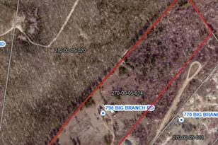 798 Big Branch Rd, Wagener, SC 29164 - Photo 61