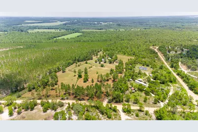 798 Big Branch Road, Wagener, SC 29164 - Photo 37