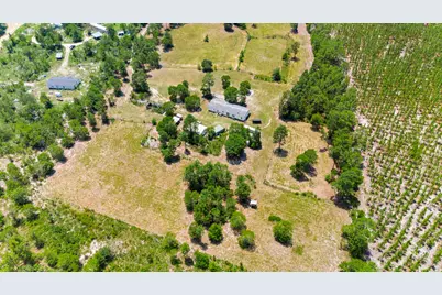 798 Big Branch Road, Wagener, SC 29164 - Photo 5