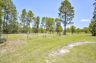 798 Big Branch Rd, Wagener, SC 29164 - Photo 43