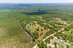 798 Big Branch Rd, Wagener, SC 29164 - Photo 39