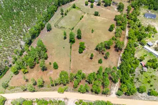 798 Big Branch Rd, Wagener, SC 29164 - Photo 55