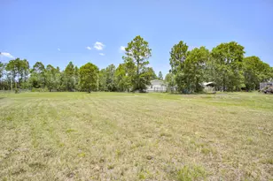 798 Big Branch Rd, Wagener, SC 29164 - Photo 55