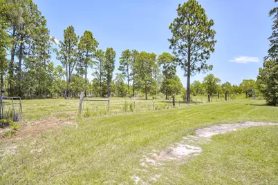 798 Big Branch Road, Wagener, SC 29164 - Photo 41