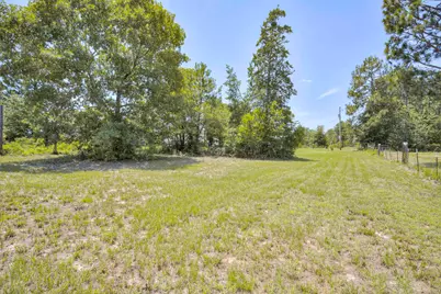 798 Big Branch Road, Wagener, SC 29164 - Photo 43
