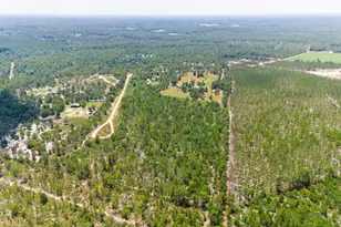 798 Big Branch Rd, Wagener, SC 29164 - Photo 59