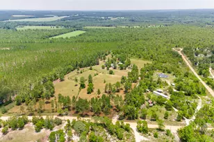 798 Big Branch Rd, Wagener, SC 29164 - Photo 41