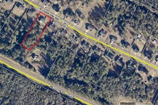 192 Lacebark Pine Way, Beech Island, SC 29842 - Photo 41