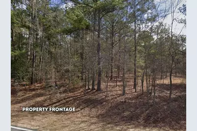 0 Lot 2 Holiness Church Road, Wagener, SC 29164 - Photo 7