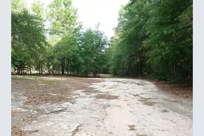0 Lot 2 Holiness Church Road, Wagener, SC 29164 - Photo 21