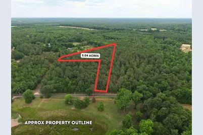 0 Lot 2 Holiness Church Road, Wagener, SC 29164 - Photo 3