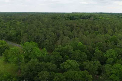 0 Lot 2 Holiness Church Road, Wagener, SC 29164 - Photo 5