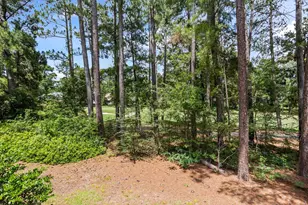 296 Willow Lake Dr, Aiken, SC 29803 - Photo 61