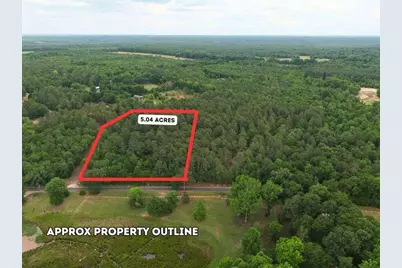 0 Lot 3 Holiness Church Road, Wagener, SC 29164 - Photo 1