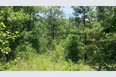 245 Hodges Bay Drive, Aiken, SC 29803 - Photo 7
